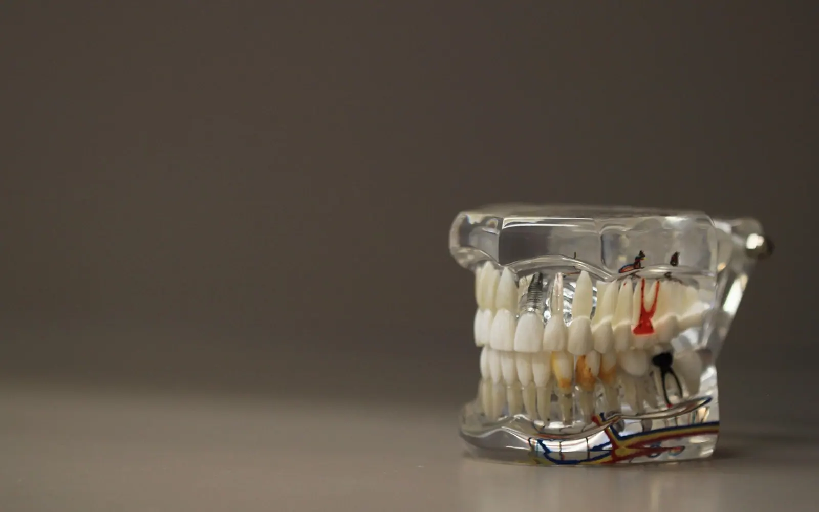 Dentistry, dentals and teeth